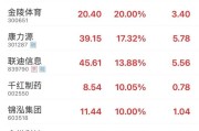巴彦淖尔市“苏超”爆火！300651，“20cm”涨停